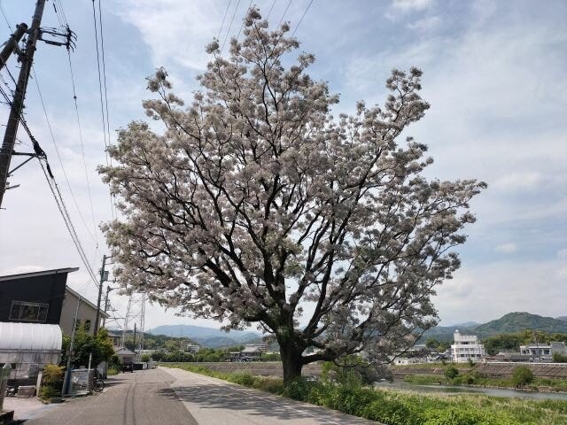 ブログサムネイル