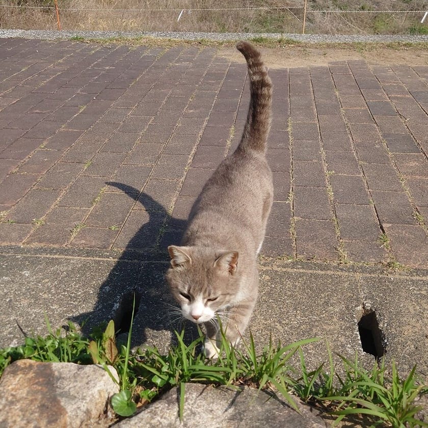 ブログサムネイル