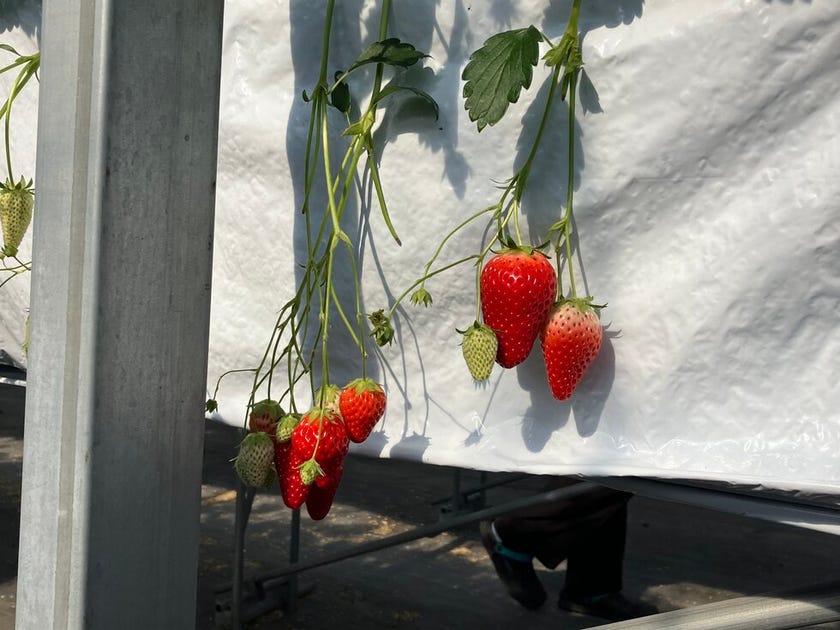 ブログサムネイル