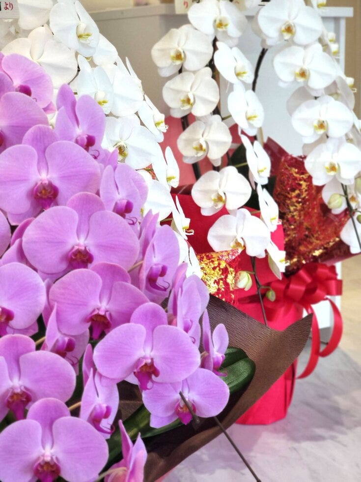 ブログサムネイル