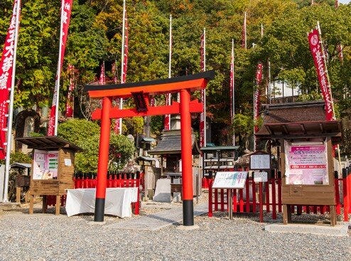 ブログサムネイル