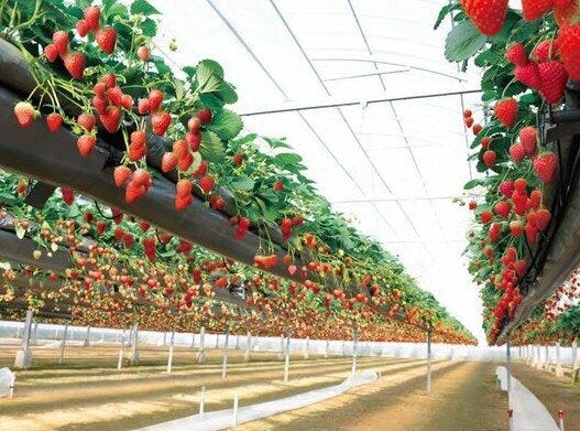 ブログサムネイル