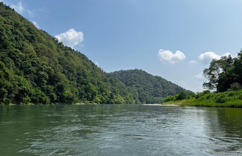 ブログサムネイル