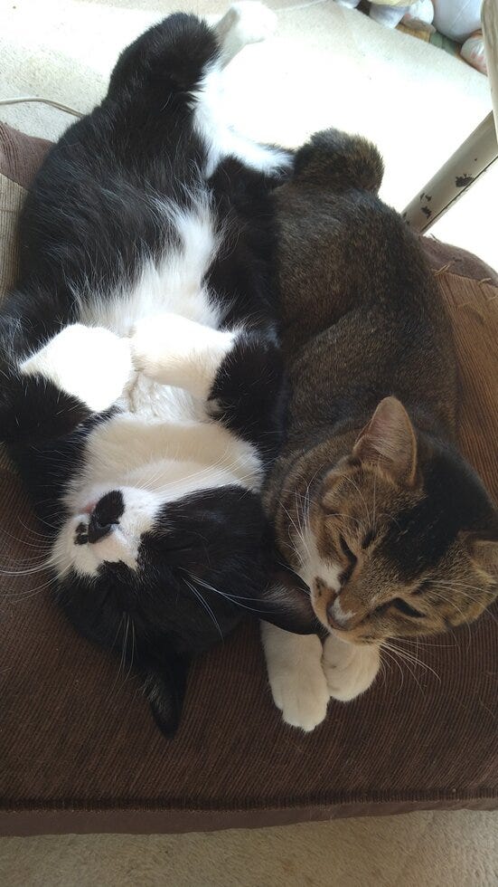 ブログサムネイル