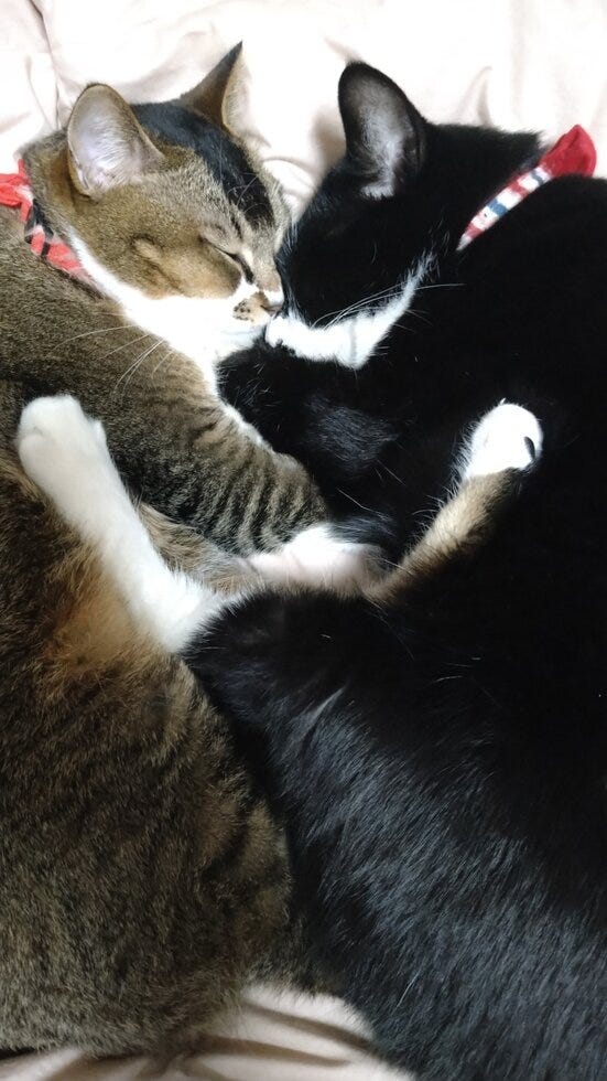 ブログサムネイル