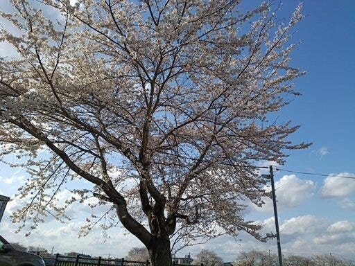 ブログサムネイル