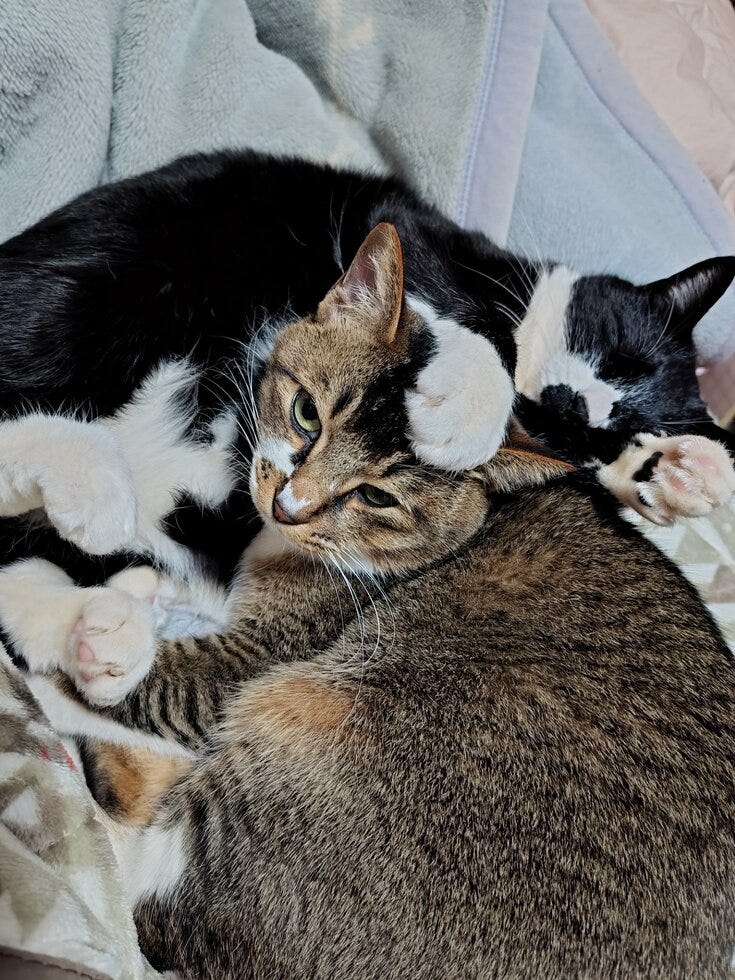 ブログサムネイル