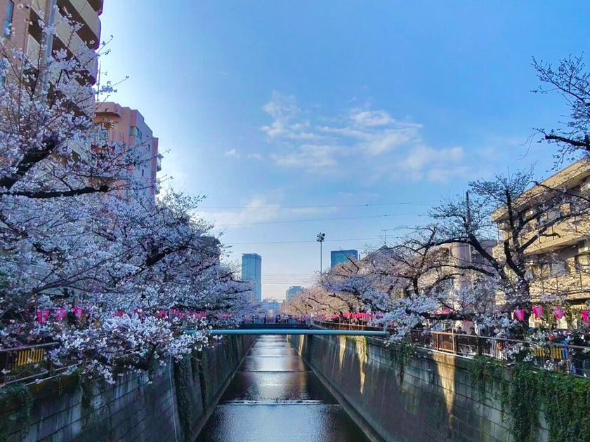 ブログサムネイル