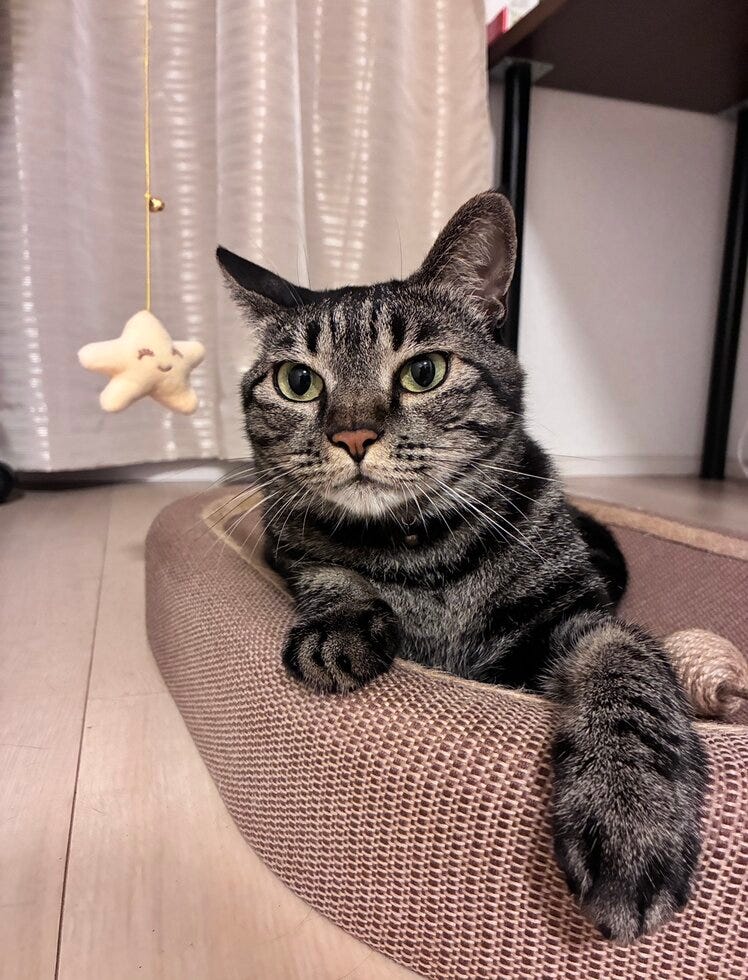 ブログサムネイル