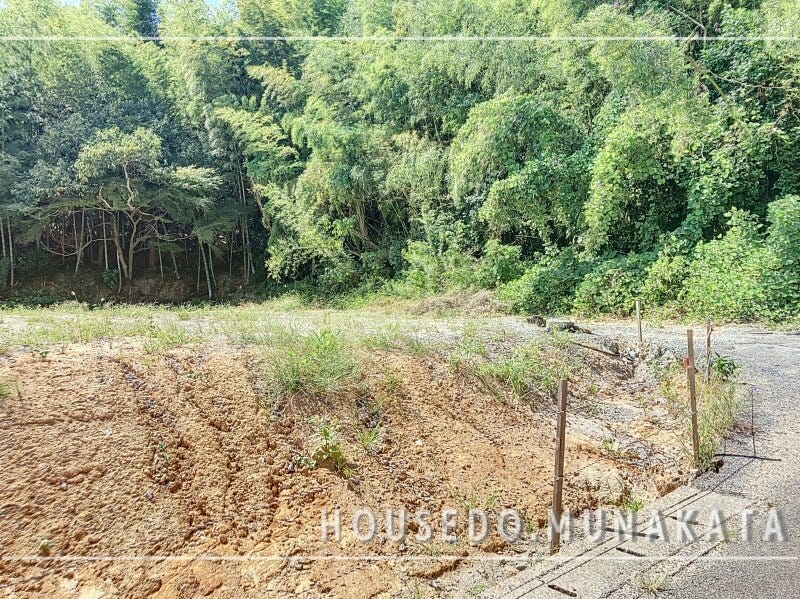 ブログサムネイル