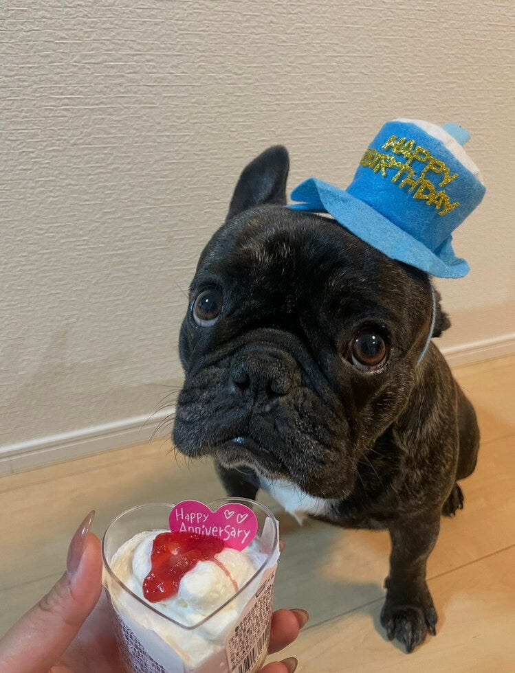 ブログサムネイル