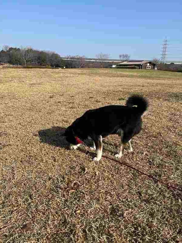 ブログサムネイル