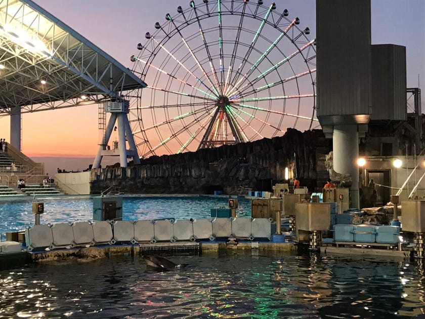 名古屋港水族館 ハウスドゥ 津島 津島市の地域密着型 不動産情報サイト Sp