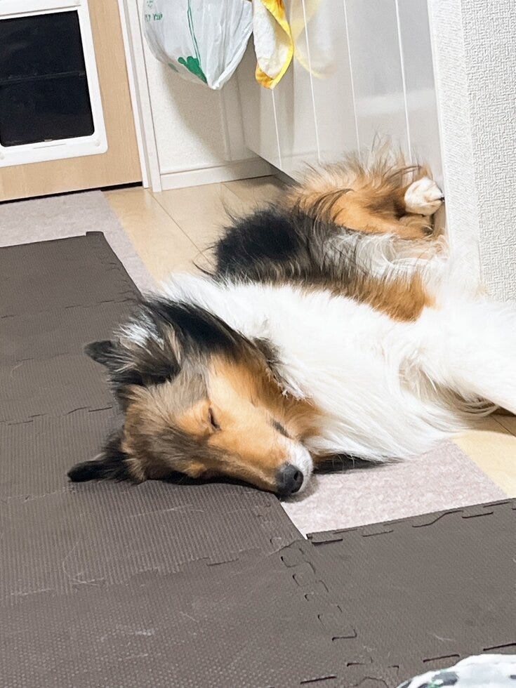 ブログサムネイル