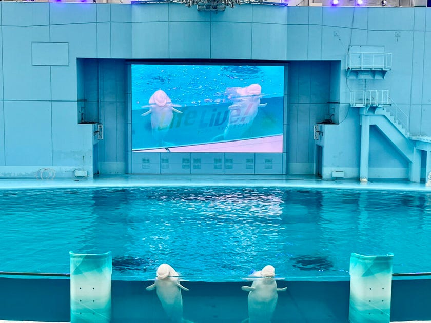 ブログサムネイル