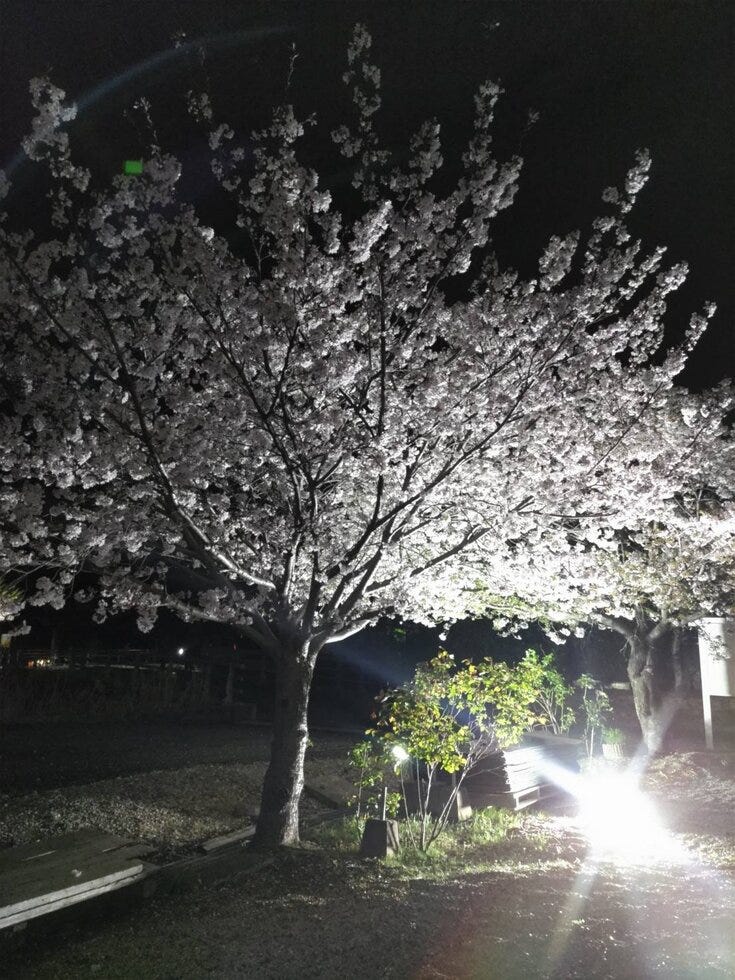 ブログサムネイル