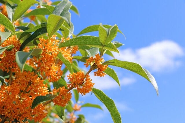 ブログサムネイル