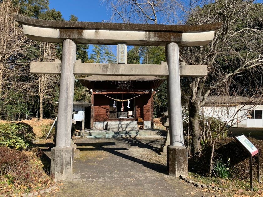 ブログサムネイル