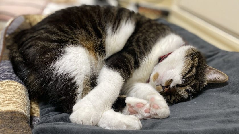 ブログサムネイル