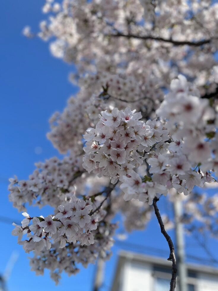 ブログサムネイル