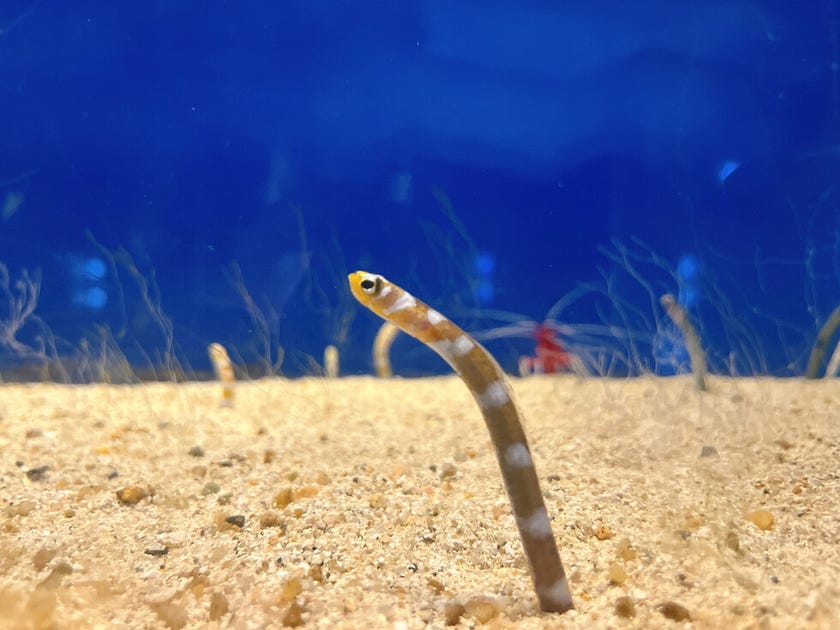 ブログサムネイル