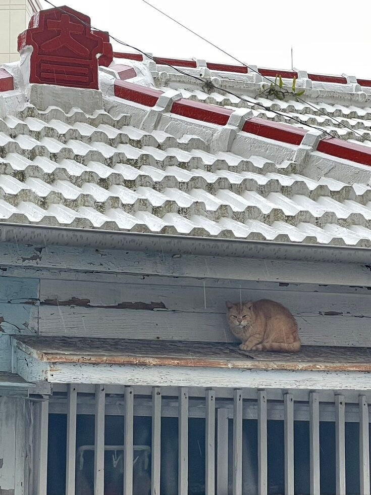 ブログサムネイル