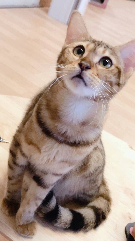 ブログサムネイル