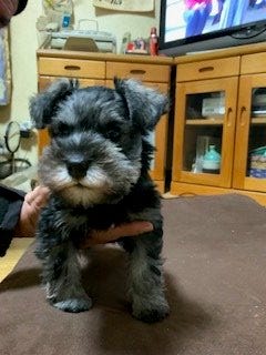 ブログサムネイル