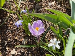 ブログサムネイル