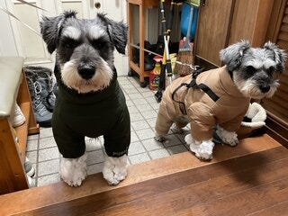 ブログサムネイル