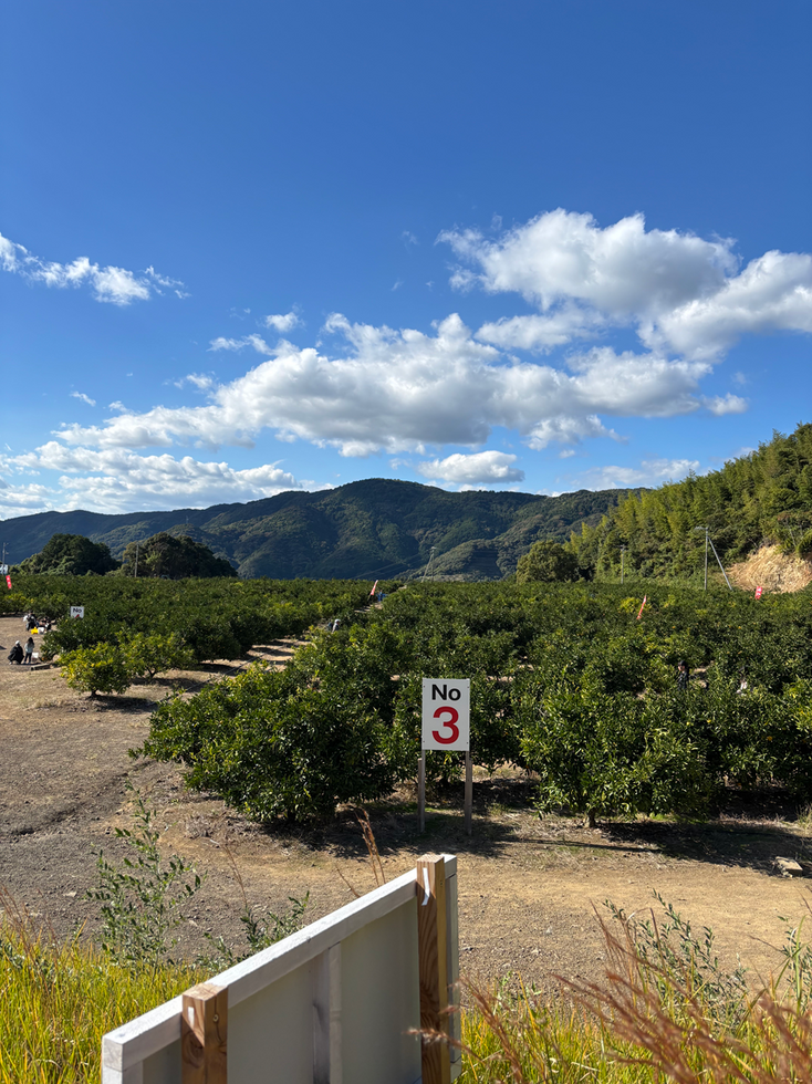 ブログサムネイル