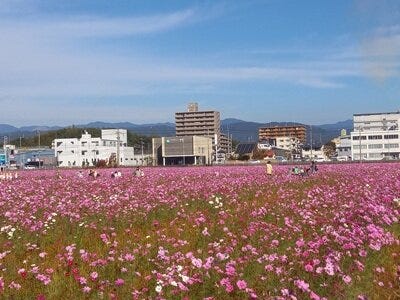 ブログサムネイル