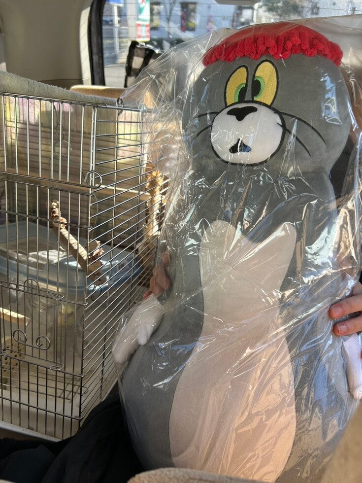 ブログサムネイル