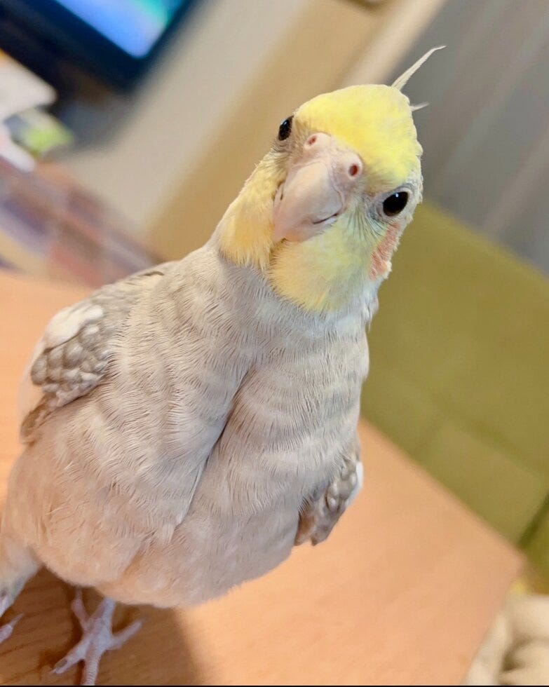 ブログサムネイル