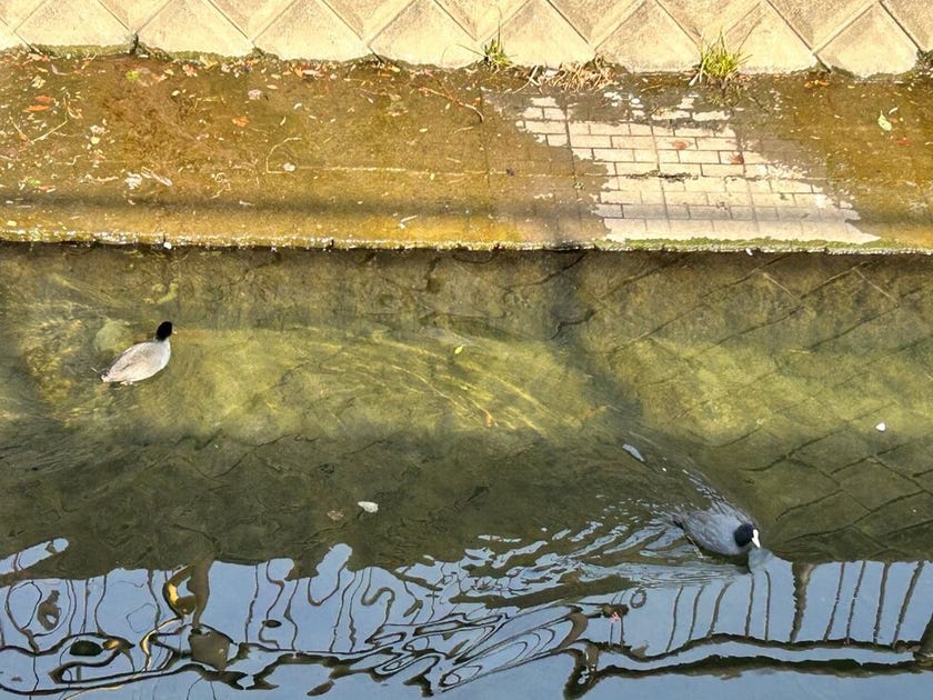 ブログサムネイル