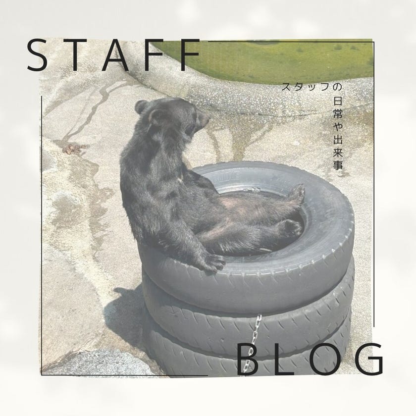 ブログサムネイル