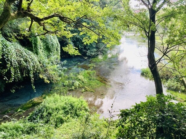 ブログサムネイル