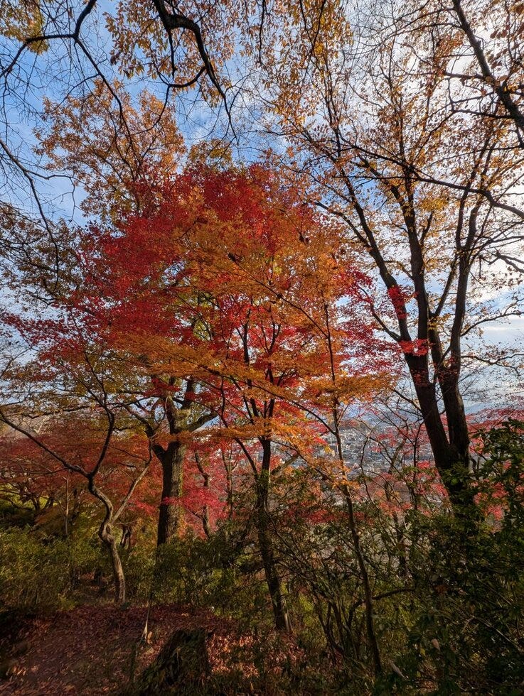 ブログサムネイル