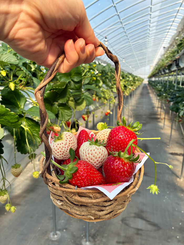 ブログサムネイル