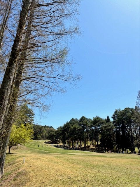 ブログサムネイル