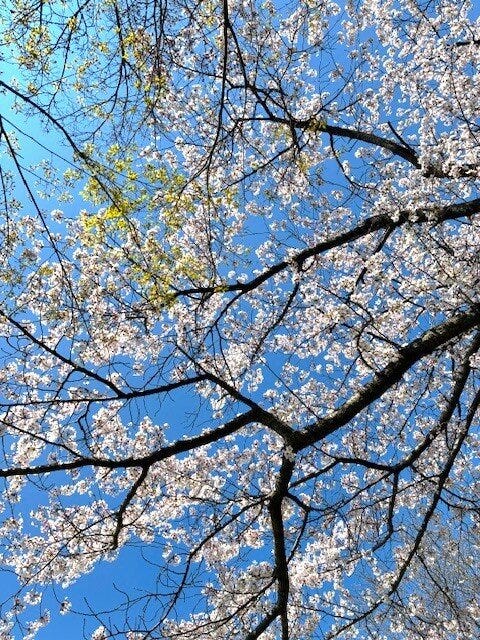 ブログサムネイル