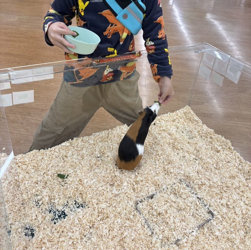 ブログサムネイル