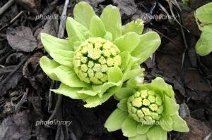 ブログサムネイル