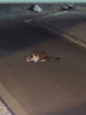 ブログサムネイル