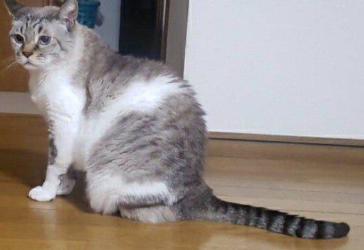 ブログサムネイル