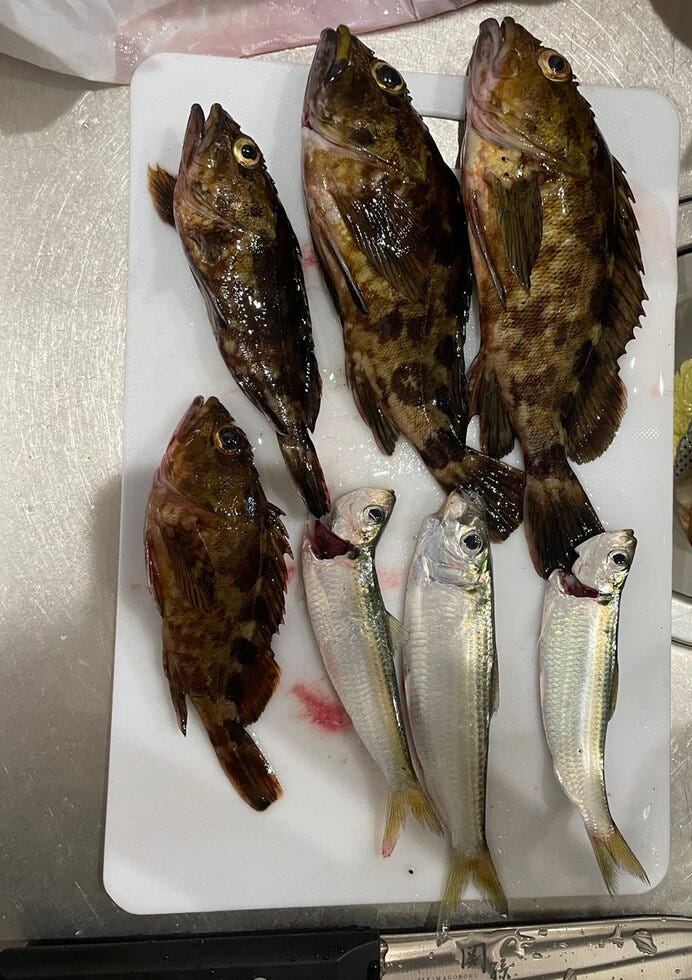 ブログサムネイル