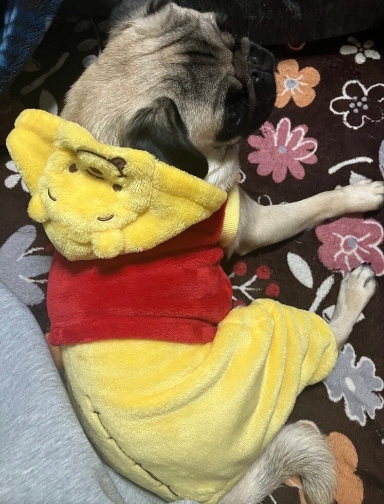 ブログサムネイル