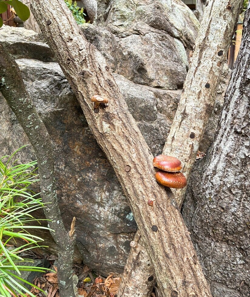 ブログサムネイル