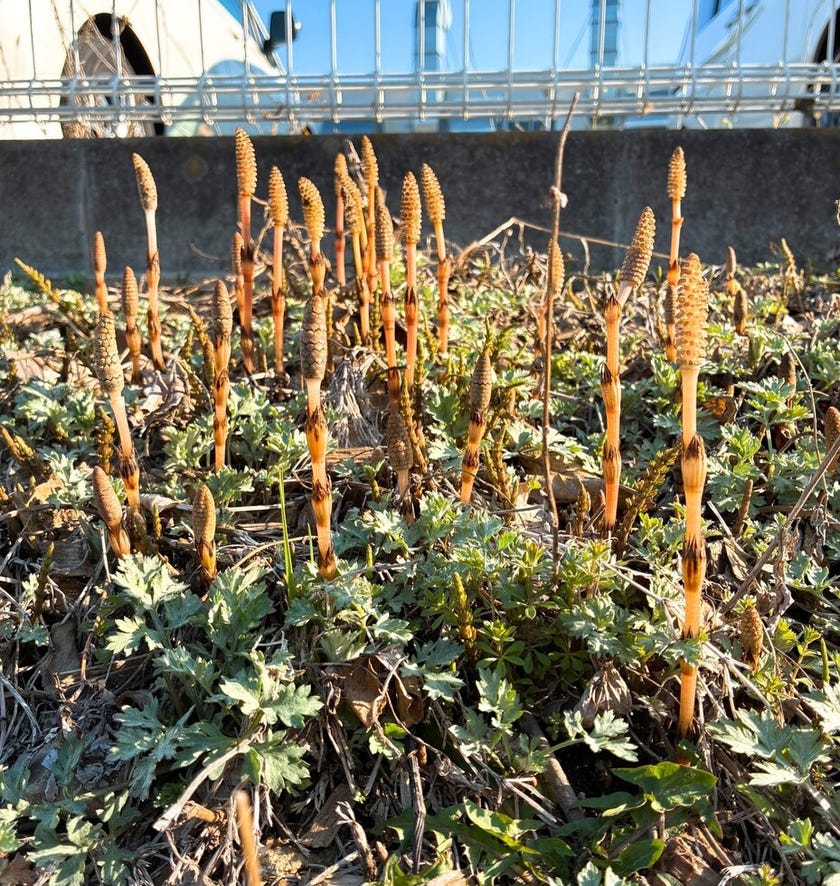 ブログサムネイル