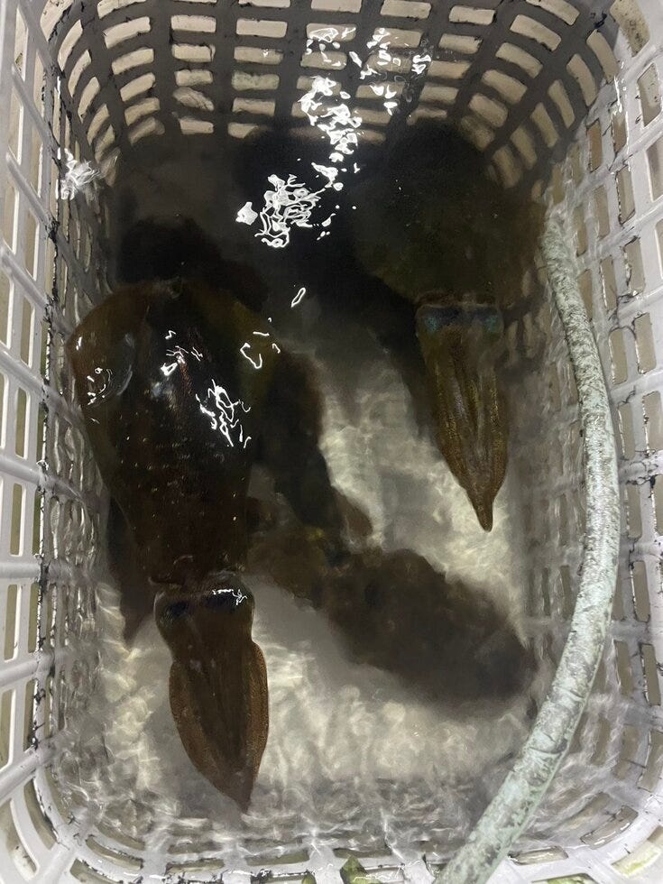 ブログサムネイル